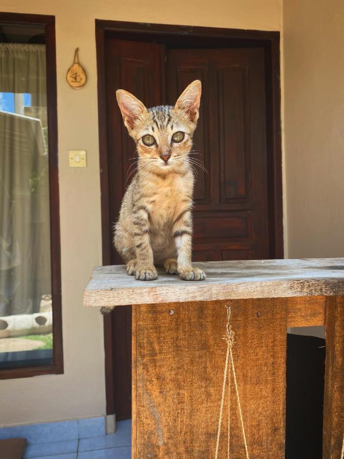 Jimador'S Homestay Джили Трауанган Екстериор снимка